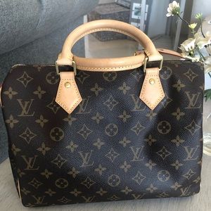Louis Vuitton Speedy 30 bag